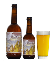 BOREA – Blonde Ale – Alc. 4,7%